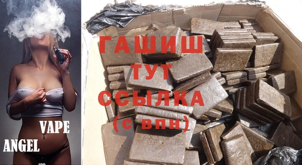 гидра Болотное