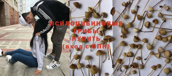 молекула духа Бронницы
