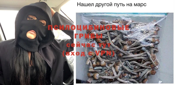 ГАЛЛЮЦИНОГЕННЫЕ ГРИБЫ Бородино