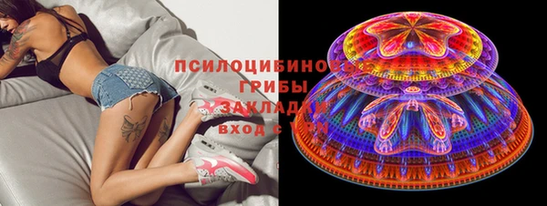 молекула духа Белокуриха