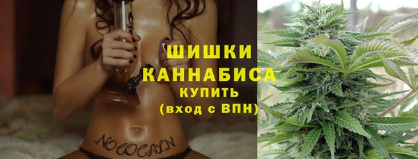 молекула духа Бронницы