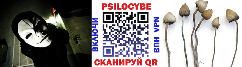 Галлюциногенные грибы GOLDEN TEACHER где продают Гудермес